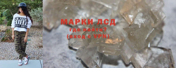 ГАЛЛЮЦИНОГЕННЫЕ ГРИБЫ Аркадак