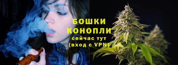 spice Арсеньев