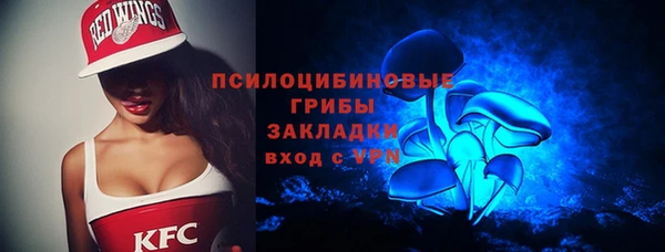 spice Арсеньев