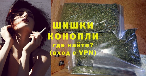 ГАЛЛЮЦИНОГЕННЫЕ ГРИБЫ Аркадак