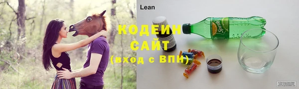 ГАЛЛЮЦИНОГЕННЫЕ ГРИБЫ Аркадак