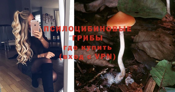 ГАЛЛЮЦИНОГЕННЫЕ ГРИБЫ Аркадак