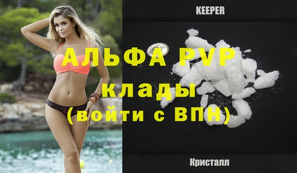 spice Арсеньев